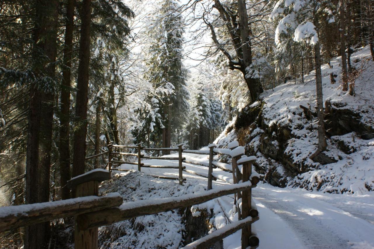 Haus Am Stein Apartman Finkenberg Kültér fotó